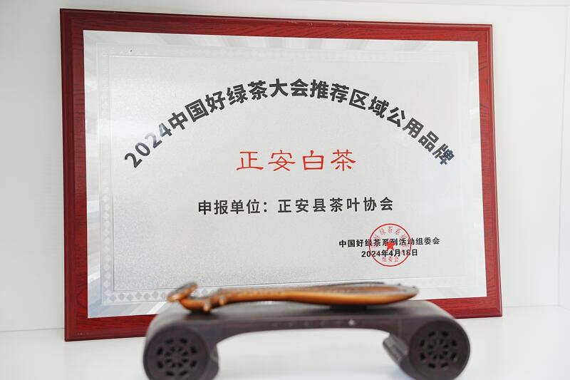 正安白茶春采启幕 生态产业助力乡村振兴 品一口春天的味道!正安白茶春茶正式开采