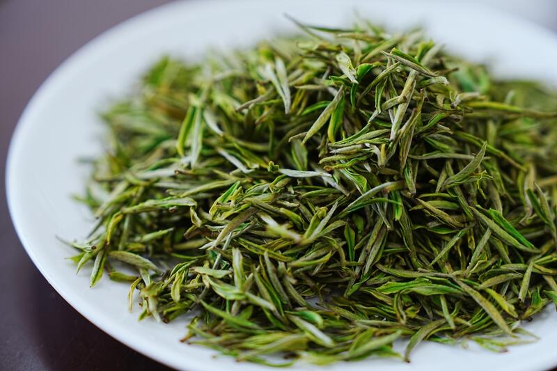 正安白茶春采启幕 生态产业助力乡村振兴 品一口春天的味道!正安白茶春茶正式开采