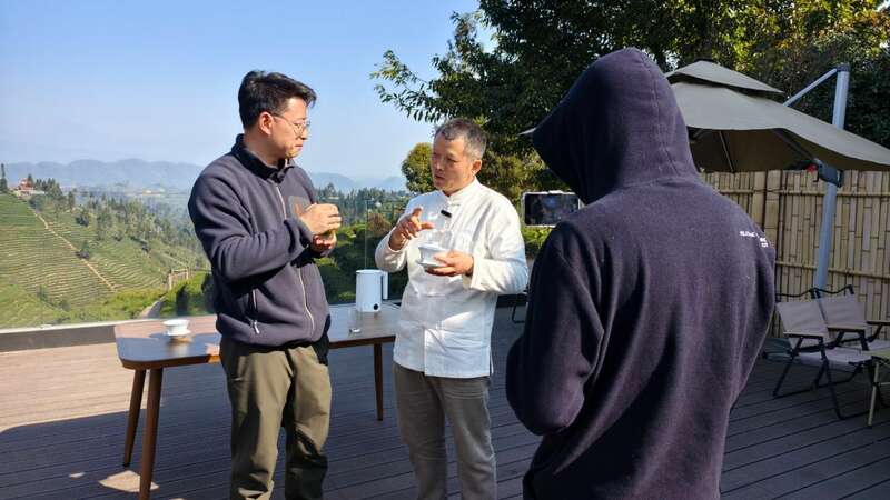沉浸式体验非遗茶技 蒙顶山茶旅融合引关注 云端品茗探茶源 安逸茶山迎客来