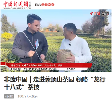 沉浸式体验非遗茶技 蒙顶山茶旅融合引关注 云端品茗探茶源 安逸茶山迎客来