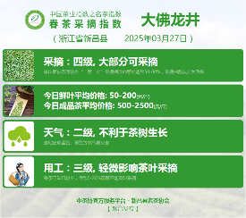 多方联动推动中国茶产业发展新方向 2025春茶季:信阳毛尖开采