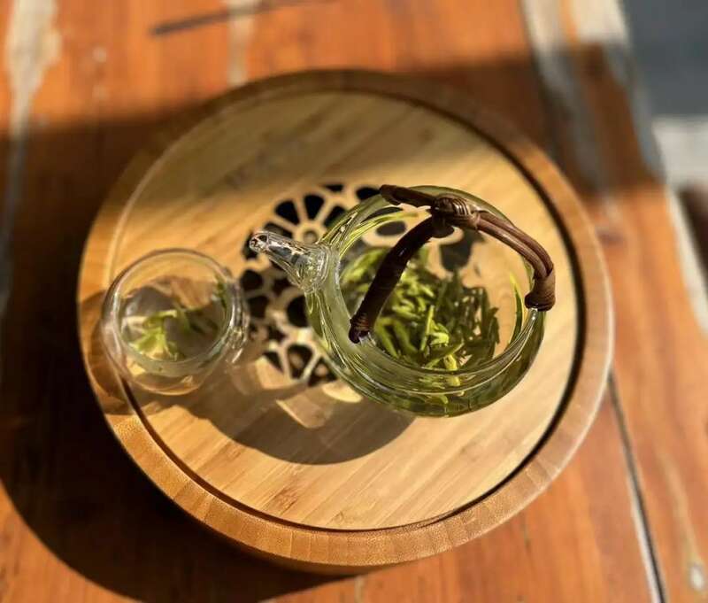 春茶越早越好?科学认知揭秘其优势与局限 春茶越早采摘品质越好?你为追春茶交了哪些“智商税”?