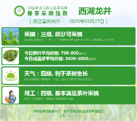 多方联动推动中国茶产业发展新方向 2025春茶季:信阳毛尖开采