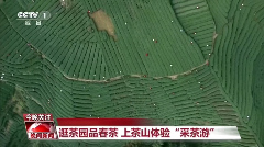 四川雅安名山区茶文旅融合新典范 CCTV-1晚间新闻聚焦:名山区茶文旅融合发展新风貌