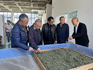 荥经茶叶产业调研:品牌升级与融合发展路径探析 雅安市政协副主席、市工商联主席杨力赴荥经县调研茶叶产业发展情况