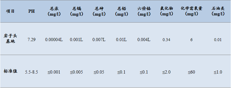 岩子头古树沱茶:自然馈赠与匠心工艺的完美融合 下关岩子头古树沱茶 汲取山水精华,成就绝美品质