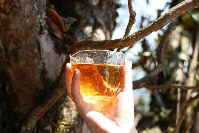 岩子头古树沱茶:自然馈赠与匠心工艺的完美融合 下关岩子头古树沱茶 汲取山水精华,成就绝美品质