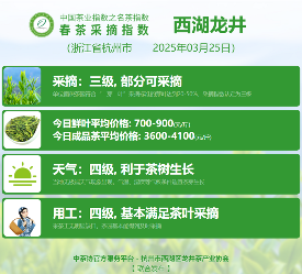 多方茶产业协会联合发声 共推行业高质量发展 2025春茶季:黄山毛峰开采