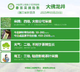 多方茶产业协会联合发声 共推行业高质量发展 2025春茶季:黄山毛峰开采