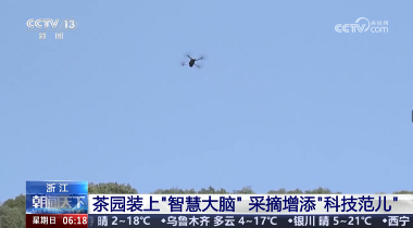 AI智能茶园管理助力茶产业转型升级 春茶开采,AI智能设备如何在茶园管理上“各显神通”?