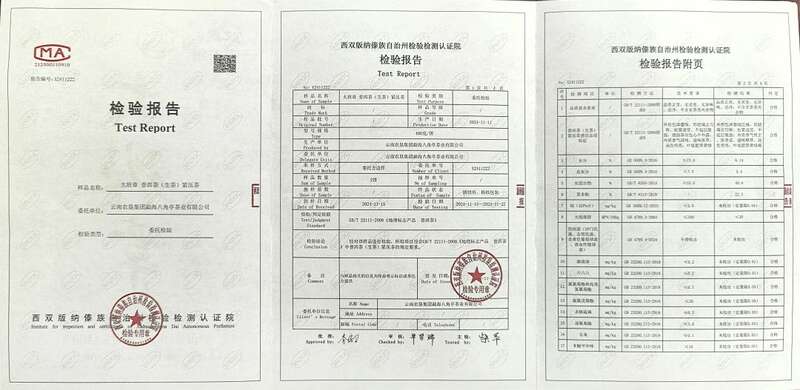 十四年匠心沉淀 古乔木生态饼品质传承 十四年光阴淬炼,大班章古乔木生态饼盛大启幕!