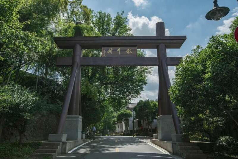 西湖龙井“狮、龙、云、虎、梅”字号历史与产地特色 西湖龙井已开采!想要了解龙井茶,