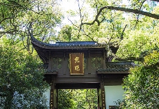 西湖龙井“狮、龙、云、虎、梅”字号历史与产地特色 西湖龙井已开采!想要了解龙井茶,