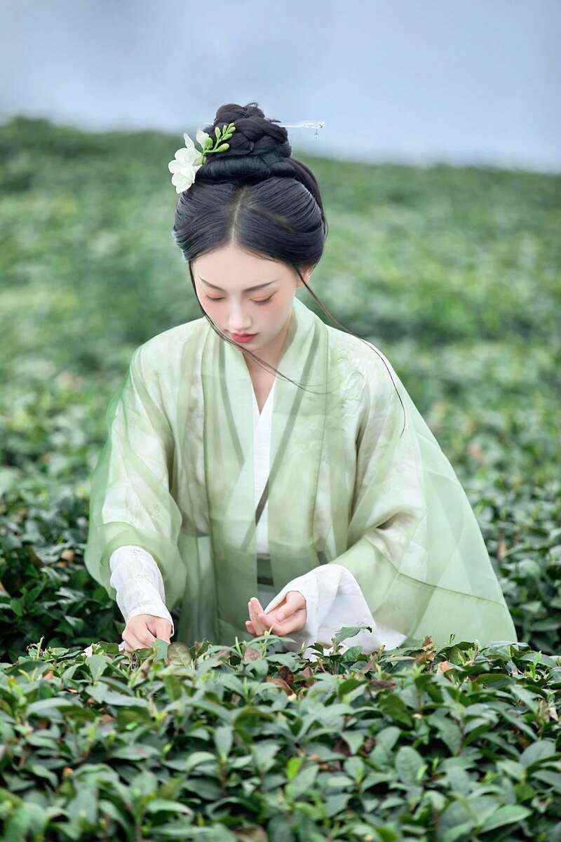 雅安春茶文化之旅:千年茶香与山野风光的完美邂逅 来不来雅安喝茶?