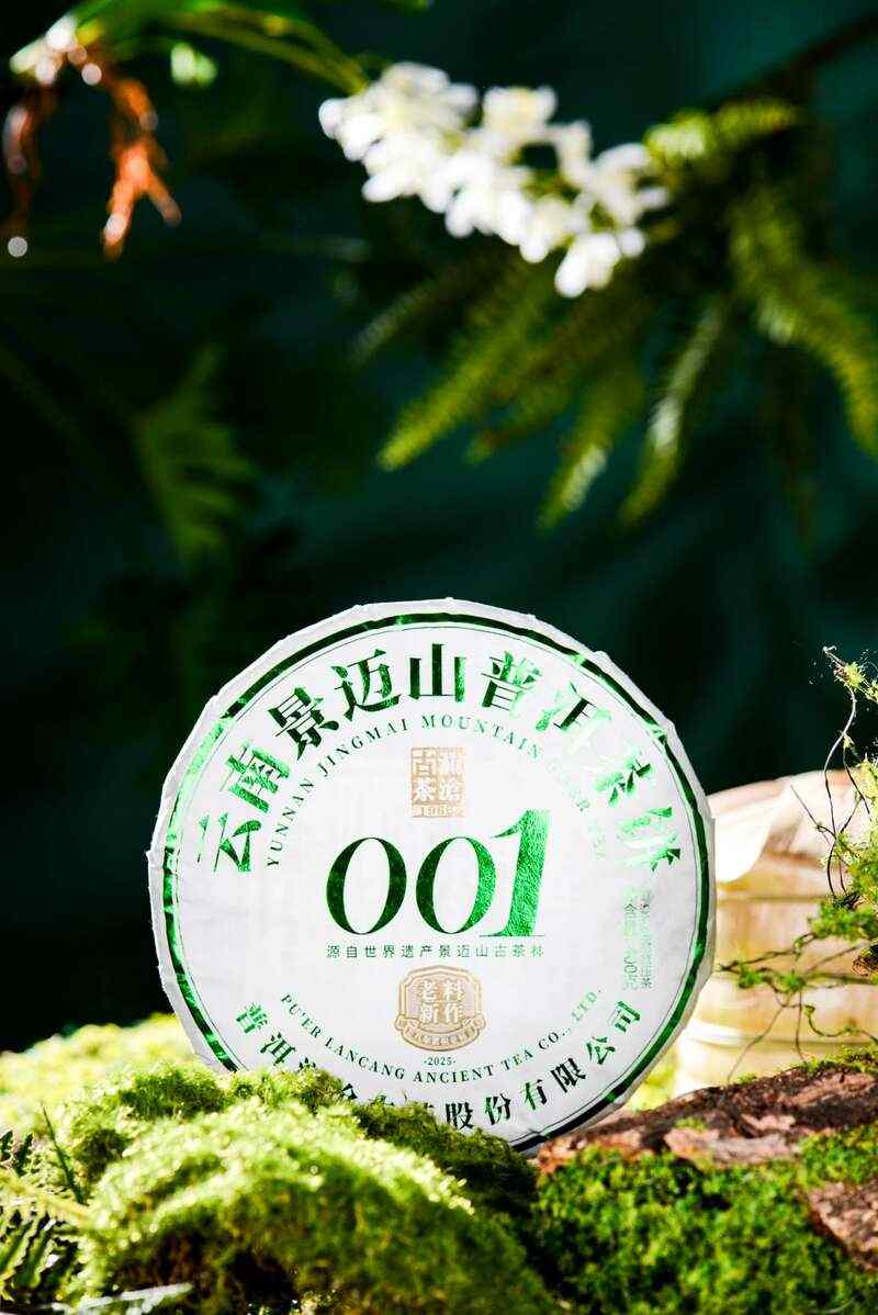 景迈山古树春茶兰香蜜韵非遗技艺文化活遗产 澜沧古茶景迈山的春天,该是001味的
