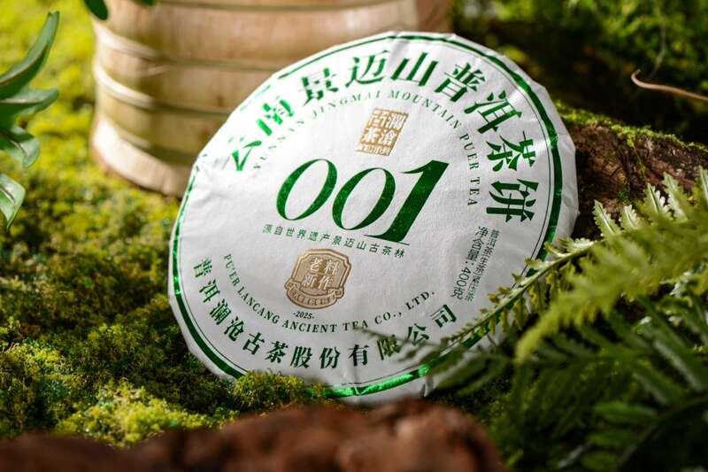 景迈山古树春茶兰香蜜韵非遗技艺文化活遗产 澜沧古茶景迈山的春天,该是001味的