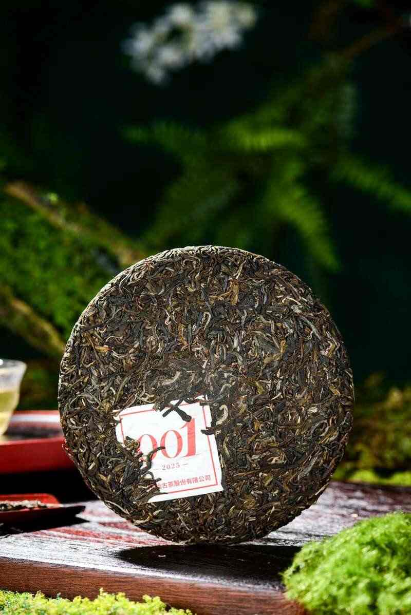 景迈山古树春茶兰香蜜韵非遗技艺文化活遗产 澜沧古茶景迈山的春天,该是001味的