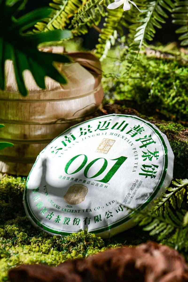 景迈山古树春茶兰香蜜韵非遗技艺文化活遗产 澜沧古茶景迈山的春天,该是001味的