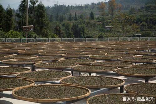 普洱茶品牌如何保障品质与价格优势？