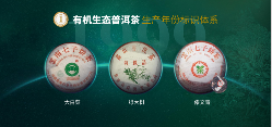 六大茶山贺开古茶山IP打造与品牌升级战略 六大茶山 世界·贺开启动 普洱茶走向世界