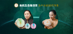 六大茶山贺开古茶山IP打造与品牌升级战略 六大茶山 世界·贺开启动 普洱茶走向世界