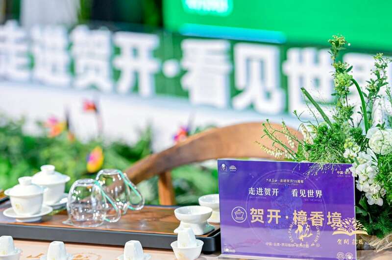 六大茶山贺开古茶山IP打造与品牌升级战略 六大茶山 世界·贺开启动 普洱茶走向世界