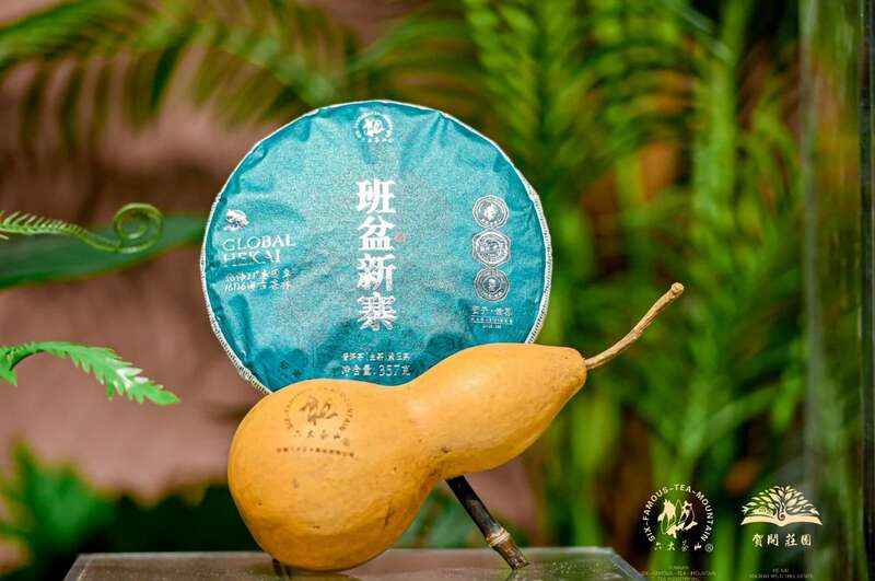 六大茶山贺开古茶山IP打造与品牌升级战略 六大茶山 世界·贺开启动 普洱茶走向世界