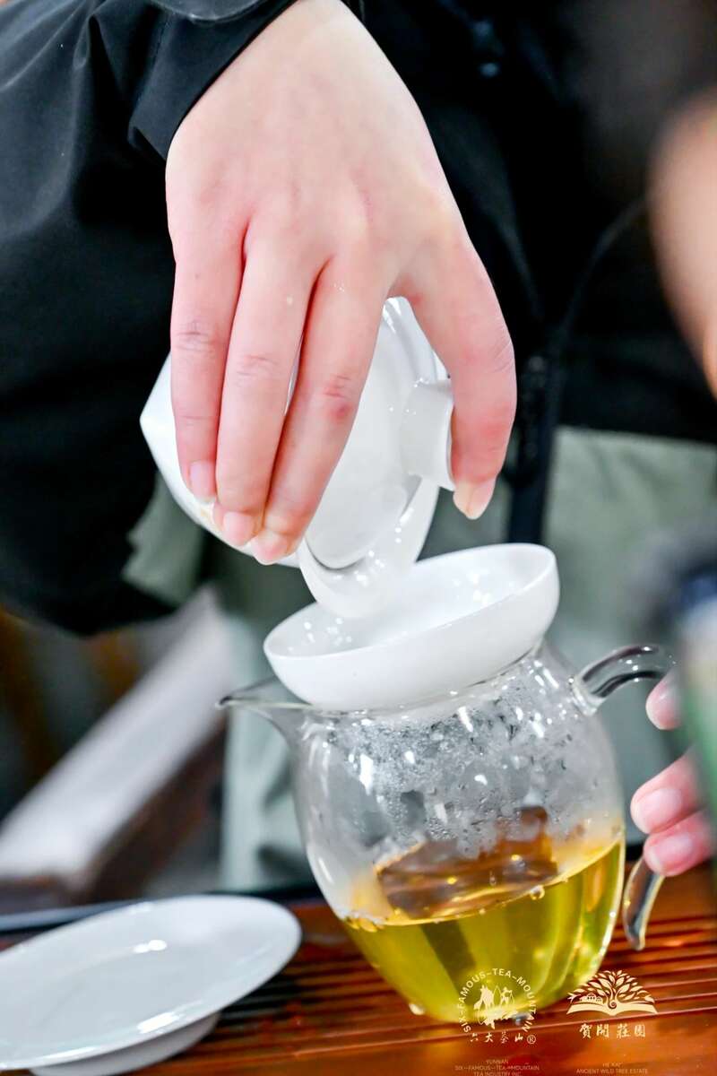六大茶山贺开古茶山IP打造与品牌升级战略 六大茶山 世界·贺开启动 普洱茶走向世界