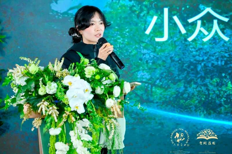 六大茶山贺开古茶山IP打造与品牌升级战略 六大茶山 世界·贺开启动 普洱茶走向世界