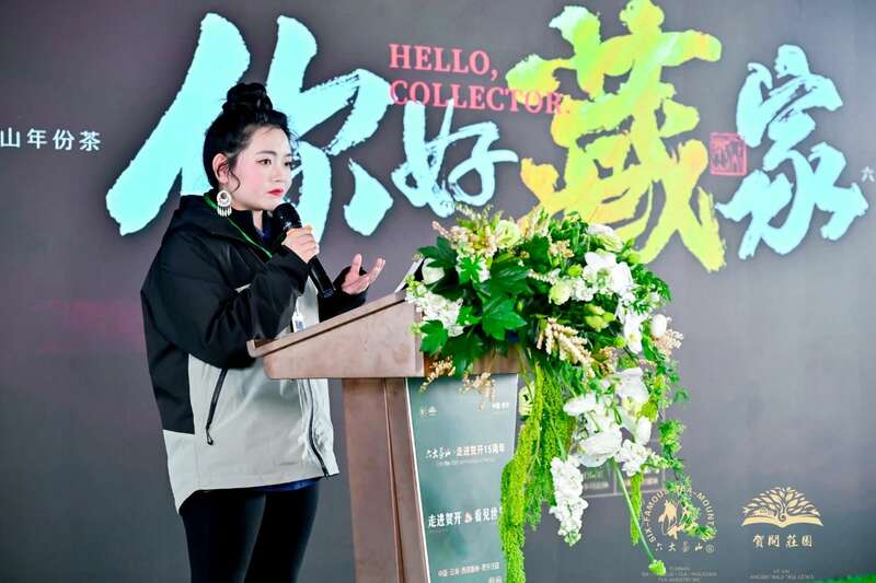 六大茶山贺开古茶山IP打造与品牌升级战略 六大茶山 世界·贺开启动 普洱茶走向世界