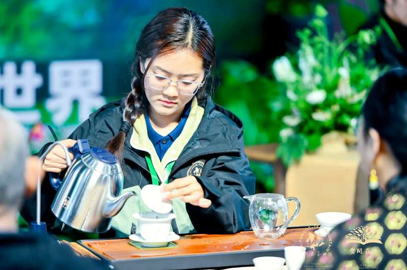 六大茶山贺开古茶山IP打造与品牌升级战略 六大茶山 世界·贺开启动 普洱茶走向世界