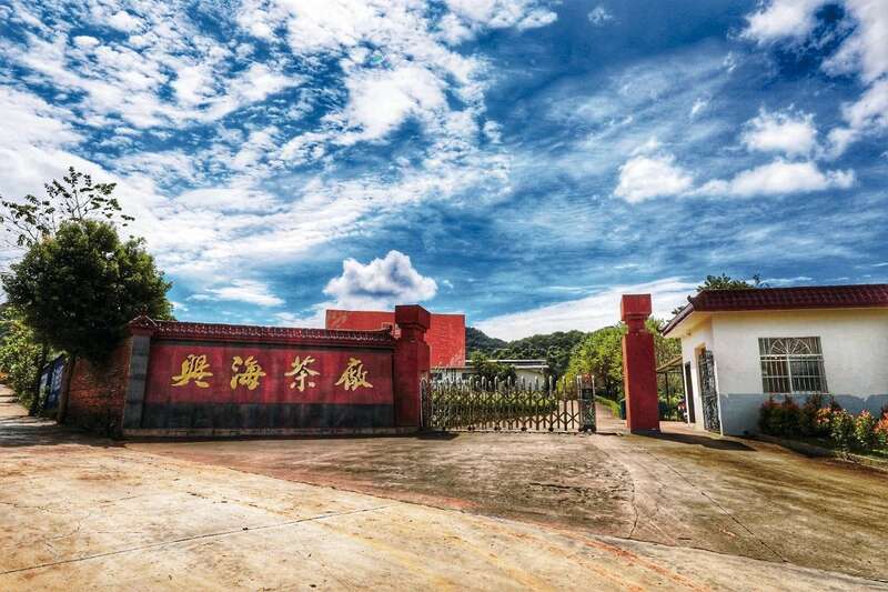 23年沉淀熟茶,品味时光流转的醇厚韵味 时光印记2002-2025:廿三载坚守与突破 兴海茶【流年印象】重磅上市!