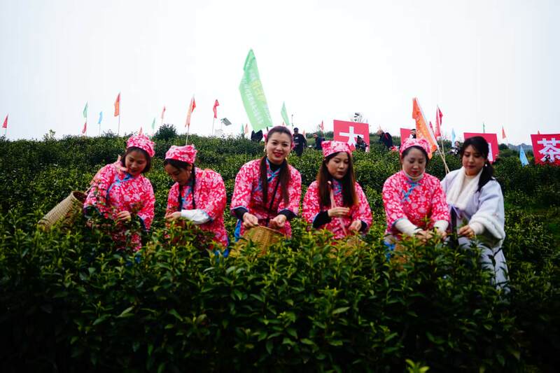 声穿云海,唤醒茶山:2025年第三届“巴山青”茶文化节暨第九届“大竹白茶”喊山开茶节启幕 声穿云海,唤醒茶山:2023第三届“巴山青”茶文化节暨第九届“大竹白茶”喊山开茶节启幕