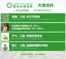 全国多地茶叶协会联合发布行业新动态 2025春茶季:西湖龙井、湄潭翠芽开采