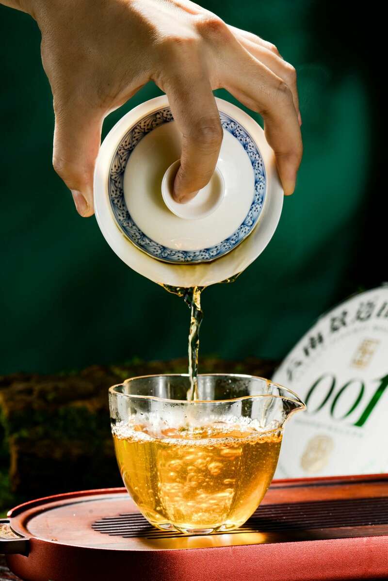 景迈山古树春茶风味传承 001蕴含千年生态密码 澜沧古茶景迈山的春天,该是001味的