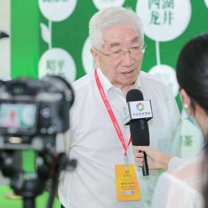 全球绿茶市场拓展与品牌升级新机遇分析 绿茶超级盛会启动!5.0版本,玩点不一样的!