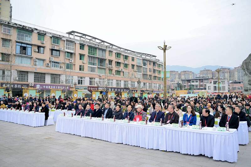 蒙顶山茶产业高质量发展:品牌推广与全球合作 全球茶商共议茶业大计!2025年蒙顶山茶商大会圆满召开!