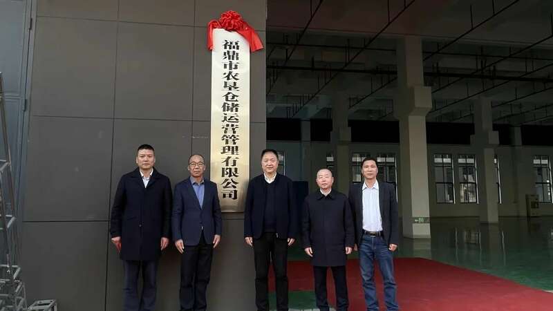 福鼎白茶国有公共仓投用 助力产业标准化发展 福鼎白茶国有公共仓正式投用