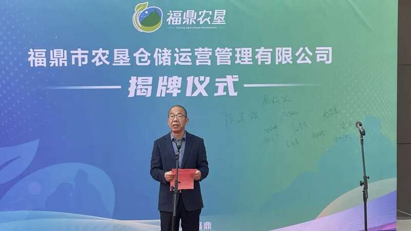福鼎白茶国有公共仓投用 助力产业标准化发展 福鼎白茶国有公共仓正式投用