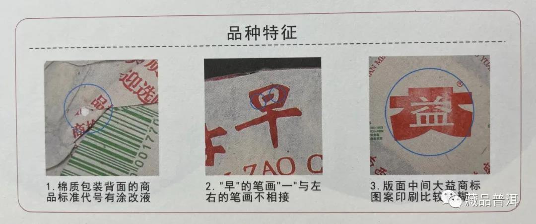 大益301早春乔木青饼：版本辨识与藏品价值解析