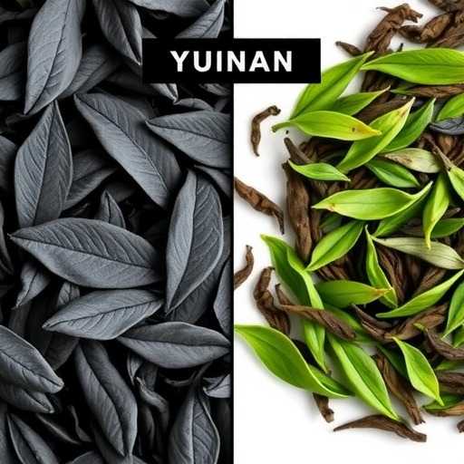 云南红茶与福建红茶对比：产地、工艺及口感差异