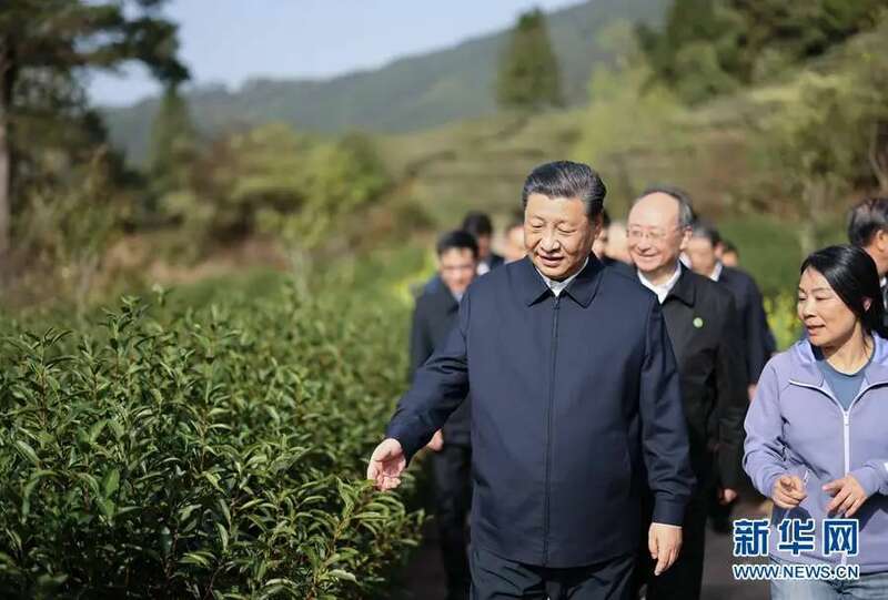 南平践行三茶统筹理念 茶文化国际传播新篇章 京华夷梦:“武夷茶·华夏行”推广活动北京站正式启动!