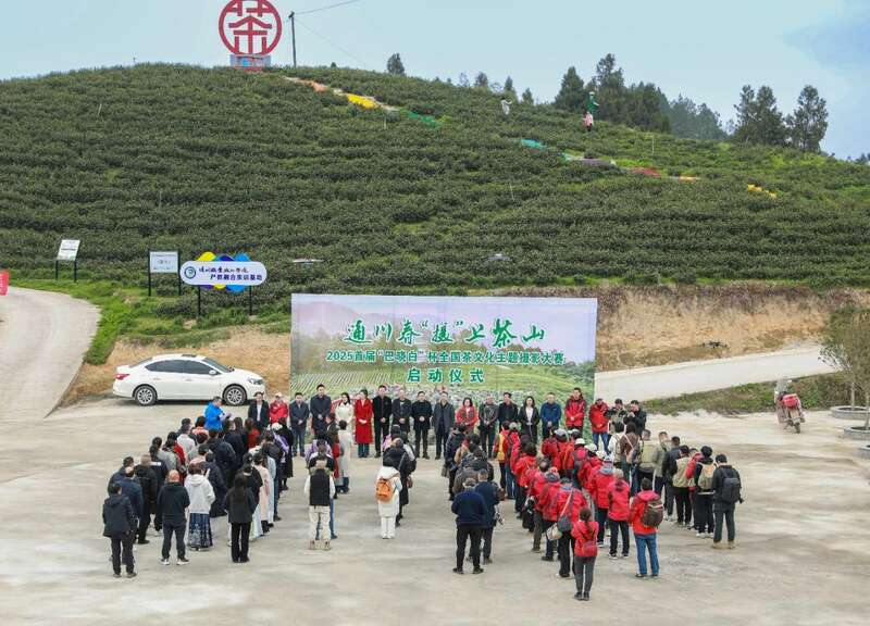 茶旅融合邂逅光影艺术 摄影大赛助力品牌传承 市女摄协:镜头下的茶香之旅