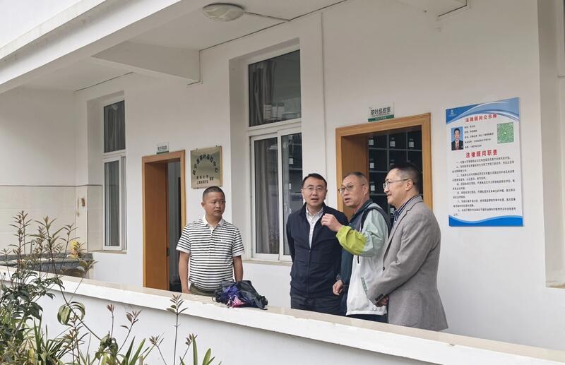 昌宁红茶产业:千年茶乡的品质与生态优势 全力打造“云南红茶第一县” 擦亮“昌宁红茶”金字招牌