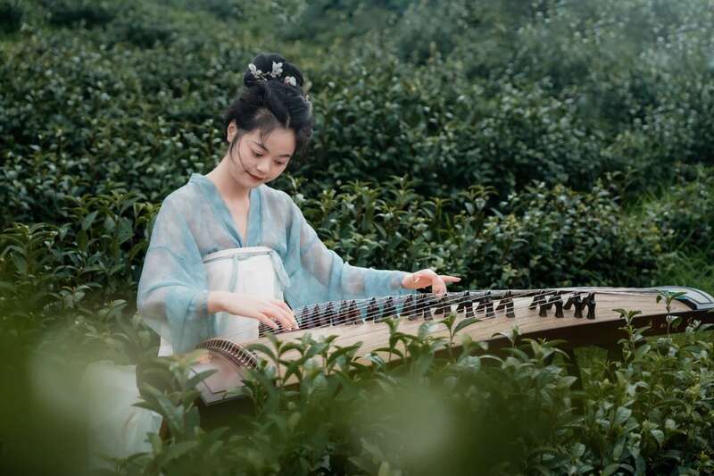 茶旅融合邂逅光影艺术 摄影大赛助力品牌传承 市女摄协:镜头下的茶香之旅
