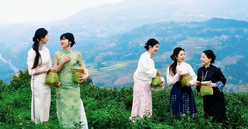茶旅融合邂逅光影艺术 摄影大赛助力品牌传承 市女摄协:镜头下的茶香之旅
