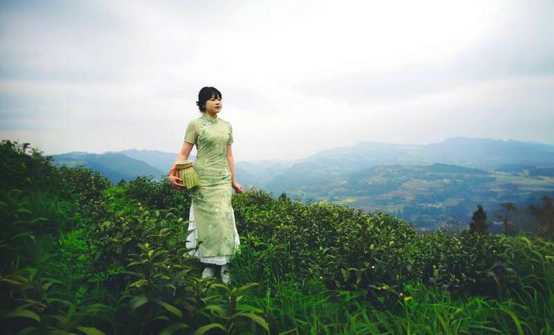 茶旅融合邂逅光影艺术 摄影大赛助力品牌传承 市女摄协:镜头下的茶香之旅