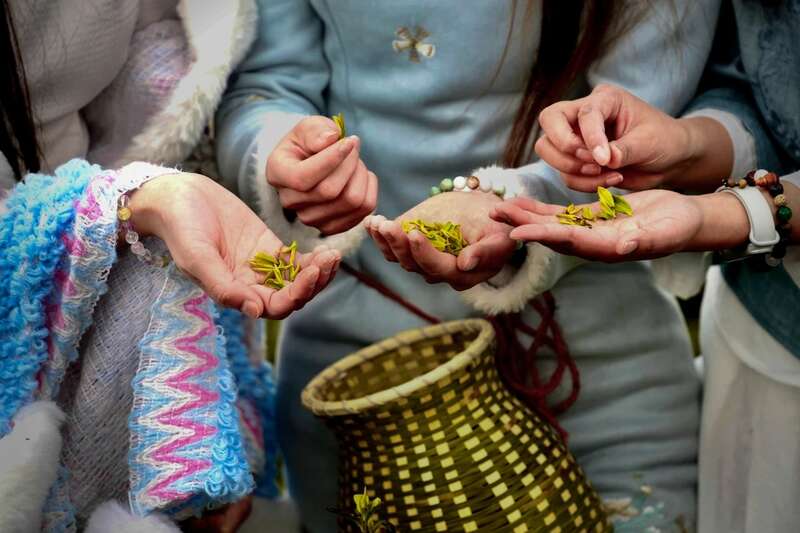 茶旅融合邂逅光影艺术 摄影大赛助力品牌传承 市女摄协:镜头下的茶香之旅