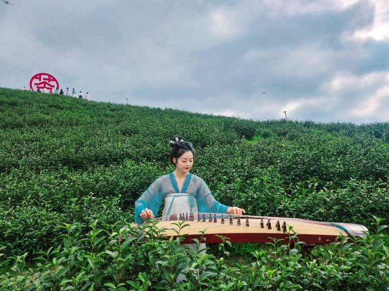 茶旅融合邂逅光影艺术 摄影大赛助力品牌传承 市女摄协:镜头下的茶香之旅