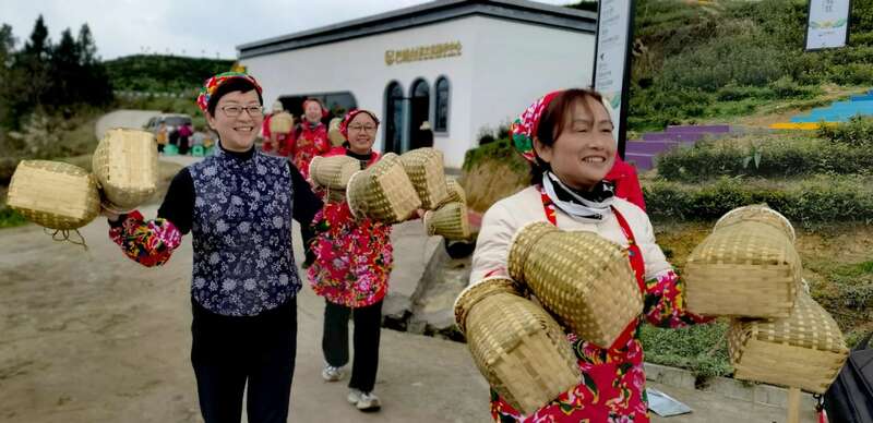 茶旅融合邂逅光影艺术 摄影大赛助力品牌传承 市女摄协:镜头下的茶香之旅